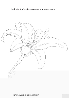 Dessin_lys.gif
